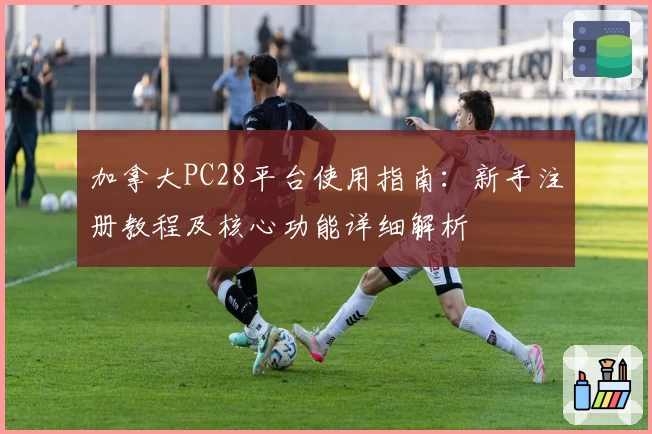 加拿大PC28平台使用指南：新手注册教程及核心功能详细解析