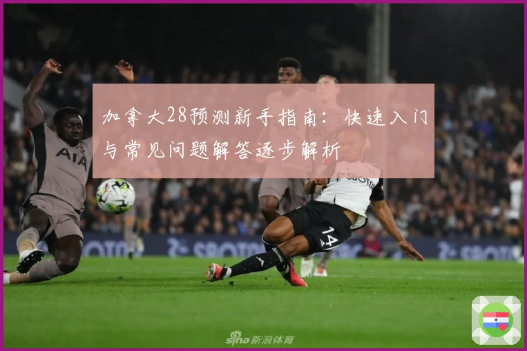 加拿大28预测新手指南：快速入门与常见问题解答逐步解析