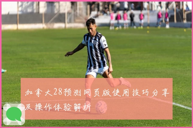 加拿大28预测网页版使用技巧分享及操作体验解析