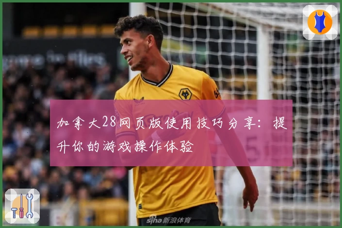 加拿大28网页版使用技巧分享：提升你的游戏操作体验