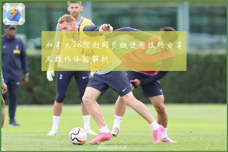 加拿大28预测网页版使用技巧分享及操作体验解析