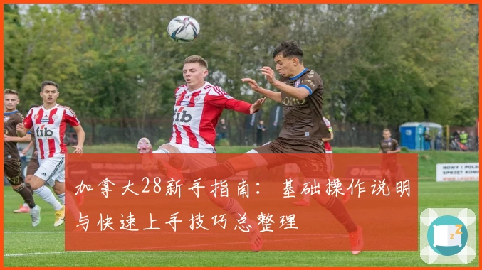 加拿大28新手指南：基础操作说明与快速上手技巧总整理