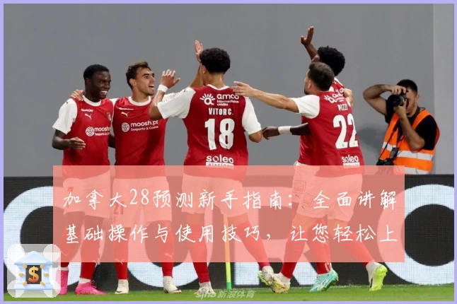 加拿大28预测新手指南：全面讲解基础操作与使用技巧，让您轻松上手预测工具
