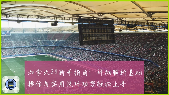 加拿大28新手指南：详细解析基础操作与实用技巧助您轻松上手