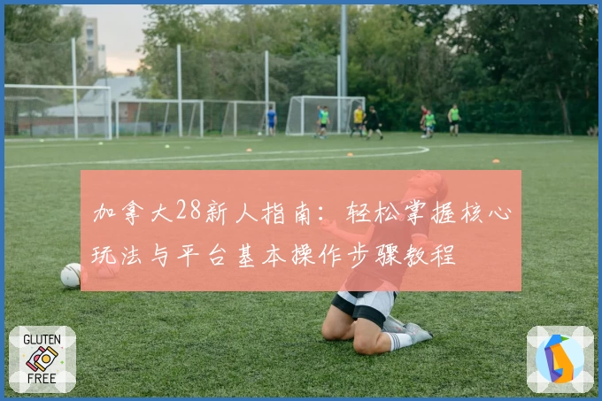 加拿大28新人指南：轻松掌握核心玩法与平台基本操作步骤教程