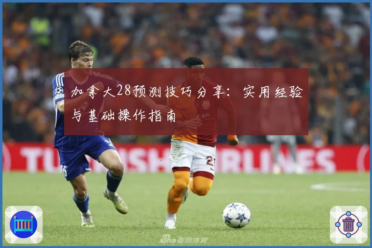 加拿大28预测技巧分享：实用经验与基础操作指南