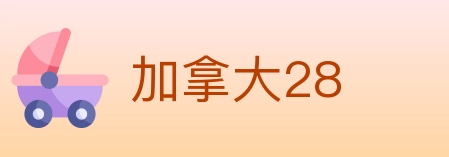 加拿大28 Logo